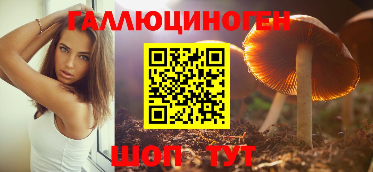 Карталы  Псилоцибиновые грибы MAGIC MUSHROOMS  Вход с VPN 